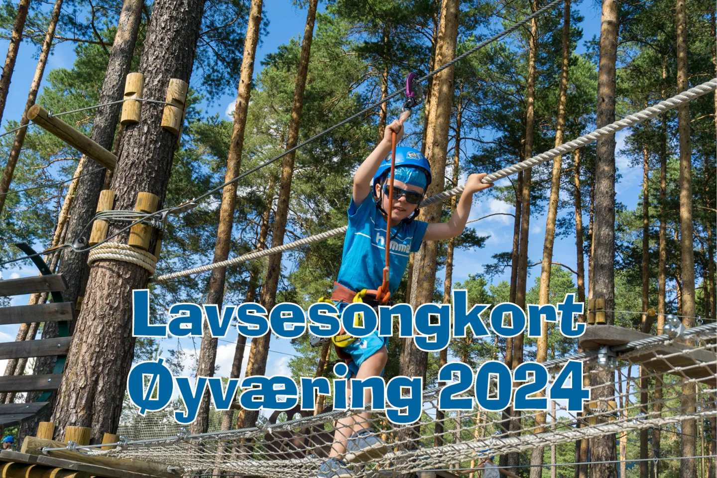 Lavsesongkort Øyværing bilde