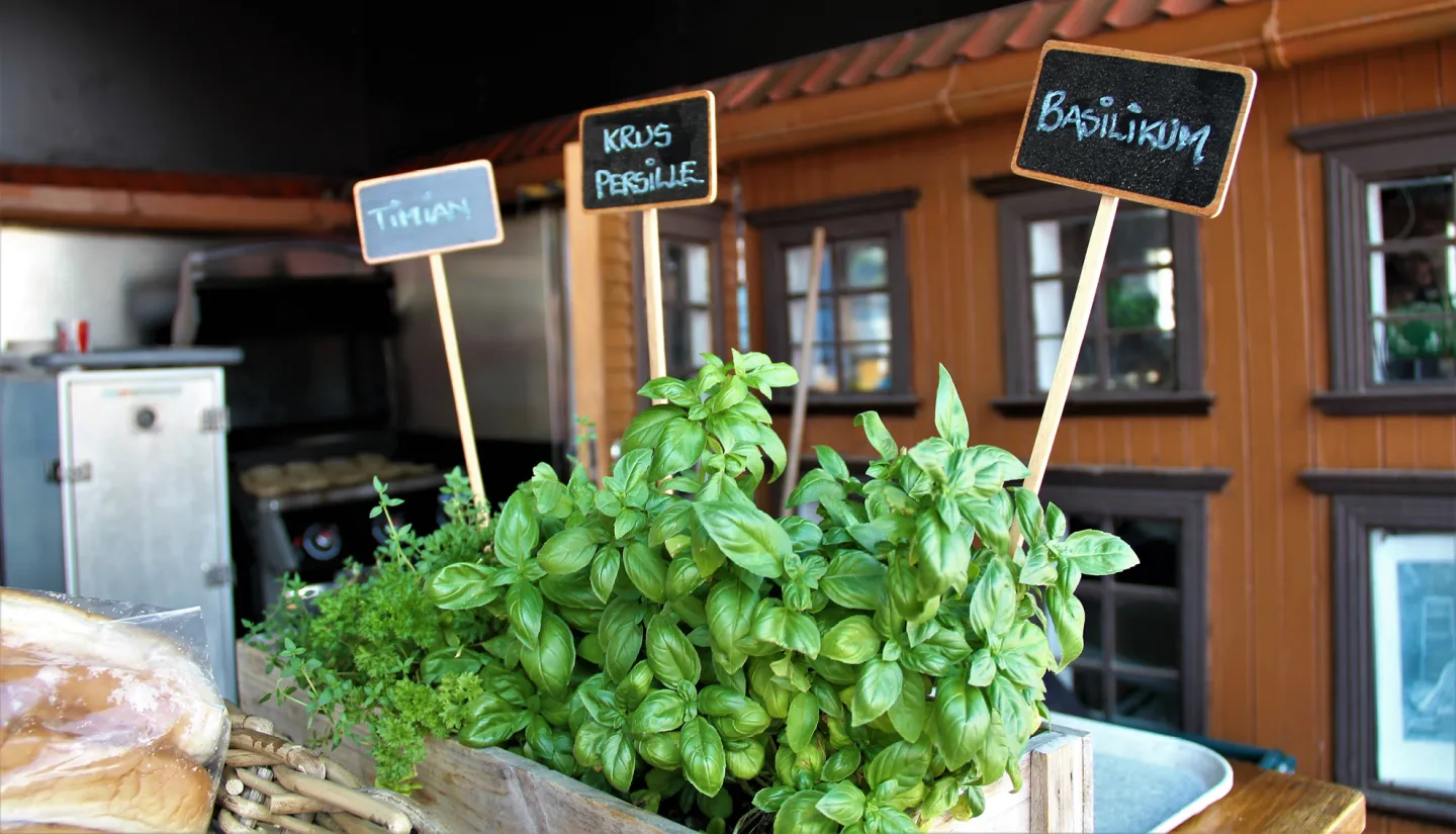 Wiesegården grill buffet