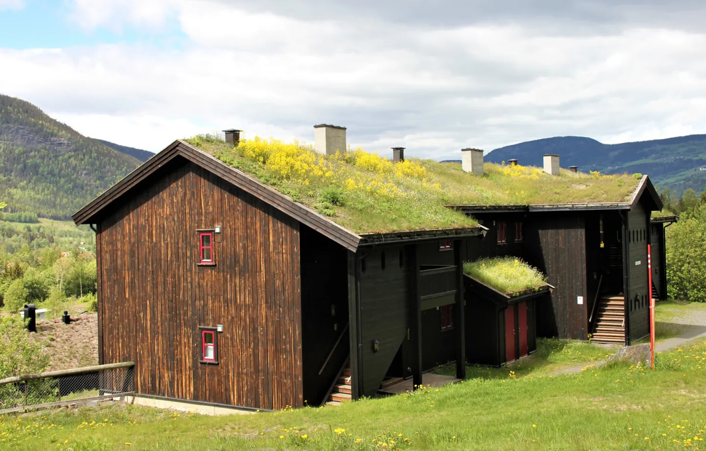 Nordlia 35g sommer