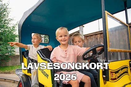 3 gutter kjører lekebil